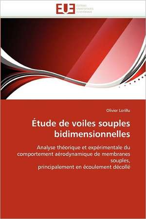 Etude de Voiles Souples Bidimensionnelles: Figures de La Volonte de Olivier Lorillu