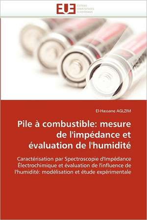 Pile à combustible de Aglzim-E