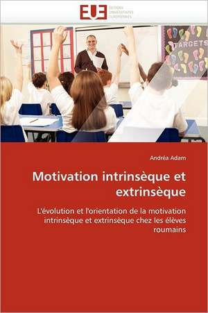 Motivation Intrinseque Et Extrinseque: Opportunite Ou Risque? de Andréa Adam