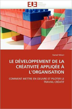 Le Developpement de La Creativite Appliqee A L'Organisation: Le Champ Des Positions Subjectives de Kamel Mnisri