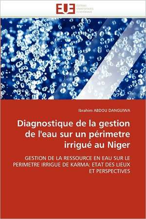 Diagnostique de la gestion de l''eau sur un périmetre irrigué au Niger de Ibrahim Abdou Danguiwa