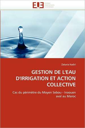 Gestion de L''Eau D''Irrigation Et Action Collective de Zakaria Kadiri