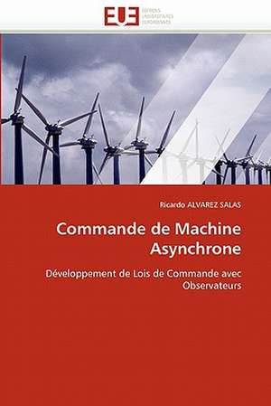 Commande de Machine Asynchrone de Ricardo ALVAREZ SALAS