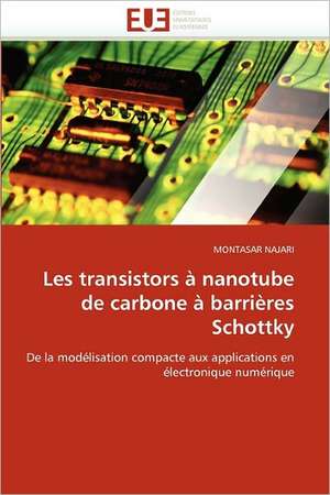 Les transistors à nanotube de carbone à barrières Schottky de Montasar Najari