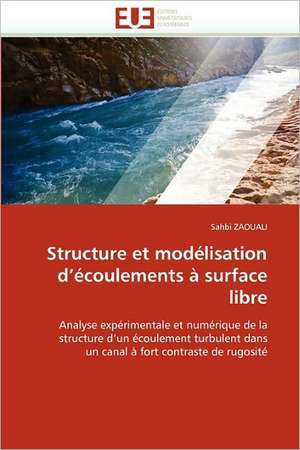 Structure et modélisation d¿écoulements à surface libre de Sahbi ZAOUALI