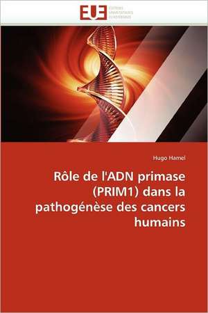 Rôle de l'ADN primase (PRIM1) dans la pathogénèse des cancers humains de Hugo Hamel