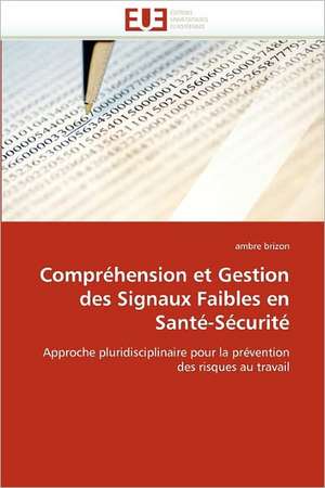 Compréhension et Gestion des Signaux Faibles en Santé-Sécurité de Ambre Brizon