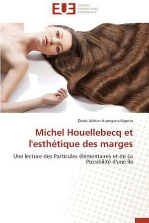 Michel Houellebecq Et L'Esthetique Des Marges