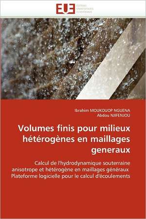 Volumes finis pour milieux hétérogènes en maillages generaux de Ibrahim Moukouop Nguena