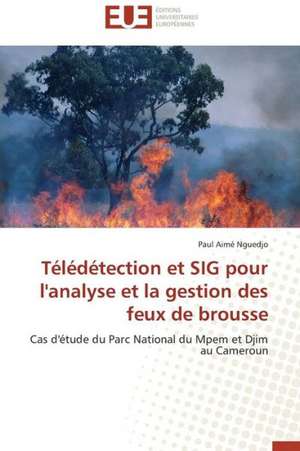 Teledetection Et Sig Pour L'Analyse Et La Gestion Des Feux de Brousse: Quels Soins Et Quel Devenir de Paul Aimé Nguedjo