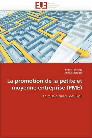 La promotion de la petite et moyenne entreprise (PME) de Djamal Limane