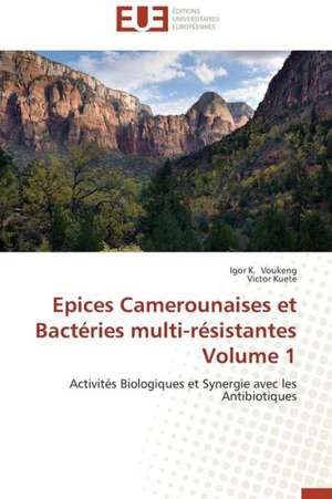 Epices Camerounaises Et Bacteries Multi-Resistantes Volume 1: L''Exemple Du Village de Wodobere de Igor K. Voukeng