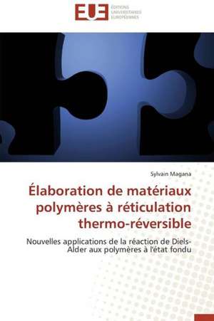 Elaboration de Materiaux Polymeres a Reticulation Thermo-Reversible: Projet de Creation D'Agence de Communication de Sylvain Magana