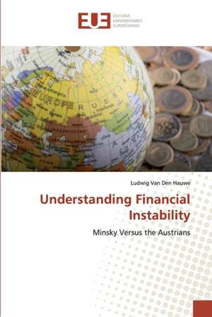 Understanding Financial Instability de Ludwig van den Hauwe