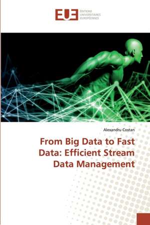 From Big Data to Fast Data: Efficient Stream Data Management de Alexandru Costan