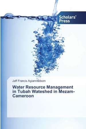 Water Resource Management in Tubah Wateshed in Mezam-Cameroon de Jaff Francis Agiamntebom