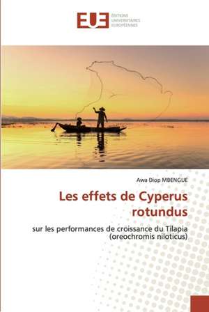 Les effets de Cyperus rotundus de Awa Diop Mbengue
