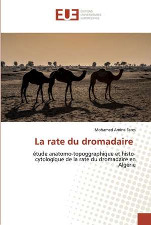 La rate du dromadaire de Mohamed Amine Fares