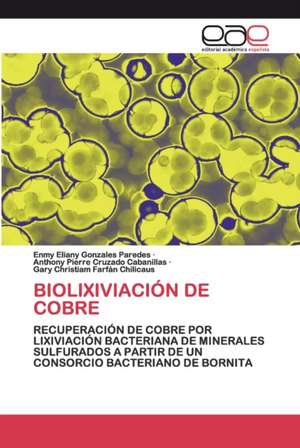 BIOLIXIVIACIÓN DE COBRE de Enmy Eliany Gonzales Paredes