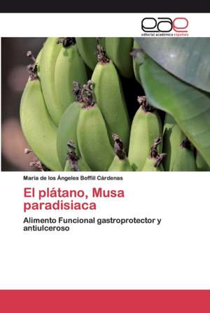 El plátano, Musa paradisiaca de Maria de los Ángeles Boffiil Cárdenas