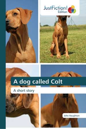 A dog called Colt de John Haughton