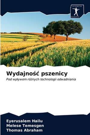 Wydajno¿¿ pszenicy de Eyerusalem Hailu