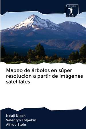 Mapeo de árboles en súper resolución a partir de imágenes satelitales de Nduji Nixon