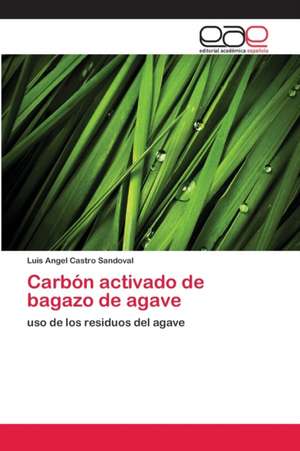 Carbón activado de bagazo de agave de Luis Angel Castro Sandoval