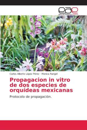 Propagacion in vitro de dos especies de orquídeas mexicanas de Carlos Alberto López Pérez