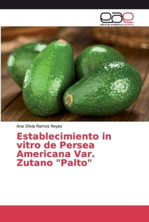 Establecimiento in vitro de Persea Americana Var. Zutano "Palto" de Ana Olivia Ramos Reyes