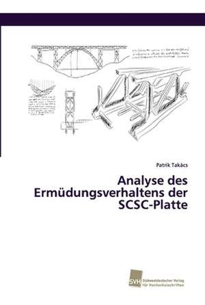 Analyse des Ermüdungsverhaltens der SCSC-Platte de Patrik Takács