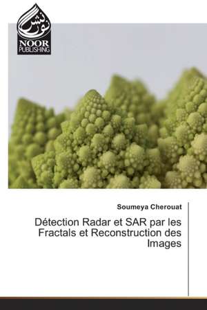 Détection Radar et SAR par les Fractals et Reconstruction des Images de Soumeya Cherouat