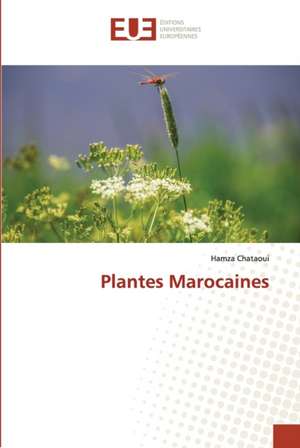 Plantes Marocaines de Hamza Chataoui