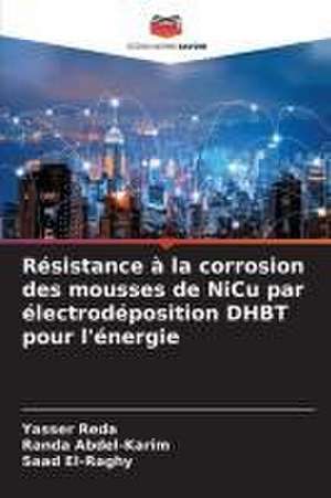 Résistance à la corrosion des mousses de NiCu par électrodéposition DHBT pour l'énergie de Yasser Reda