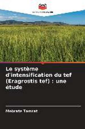 Le système d'intensification du tef (Eragrostis tef) : une étude de Mebrate Tamrat