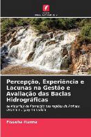 Percepção, Experiência e Lacunas na Gestão e Avaliação das Bacias Hidrográficas de Fisseha Itanna