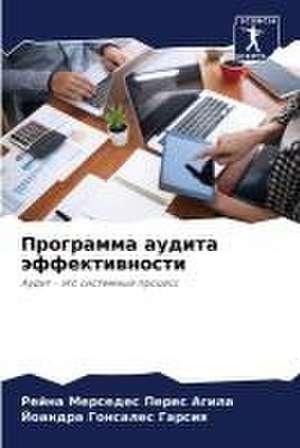 &#1055;&#1088;&#1086;&#1075;&#1088;&#1072;&#1084;&#1084;&#1072; &#1072;&#1091;&#1076;&#1080;&#1090;&#1072; &#1101;&#1092;&#1092;&#1077;&#1082;&#1090;&#1080;&#1074;&#1085;&#1086;&#1089;&#1090;&#1080; de &