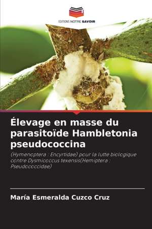 Élevage en masse du parasitoïde Hambletonia pseudococcina de María Esmeralda Cuzco Cruz