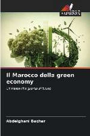 Il Marocco della green economy de Abdelghani Bachar