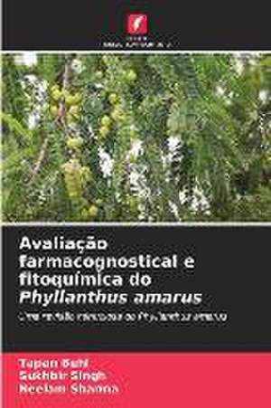 Avaliação farmacognostical e fitoquímica do Phyllanthus amarus de Tapan Behl