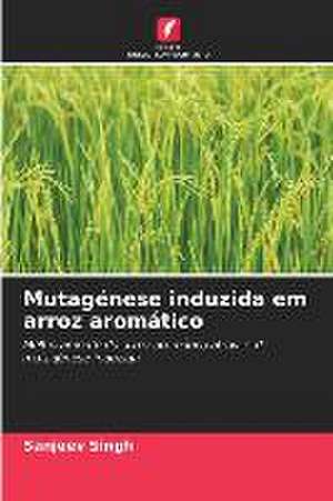 Mutagénese induzida em arroz aromático de Sanjeev Singh