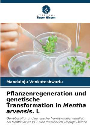 Pflanzenregeneration und genetische Transformation in Mentha arvensis. L de Mandaloju Venkateshwarlu