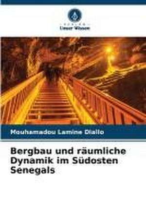 Bergbau und räumliche Dynamik im Südosten Senegals de Mouhamadou Lamine Diallo