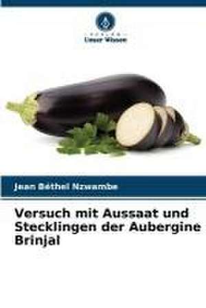 Versuch mit Aussaat und Stecklingen der Aubergine Brinjal de Jean Béthel Nzwambe