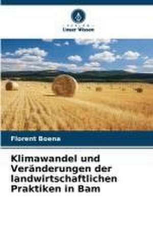 Klimawandel und Veränderungen der landwirtschaftlichen Praktiken in Bam de Florent Boena