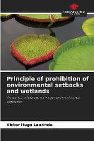 Principle of prohibition of environmental setbacks and wetlands de Victor Hugo Laurindo