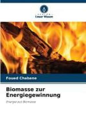 Biomasse zur Energiegewinnung de Foued Chabane