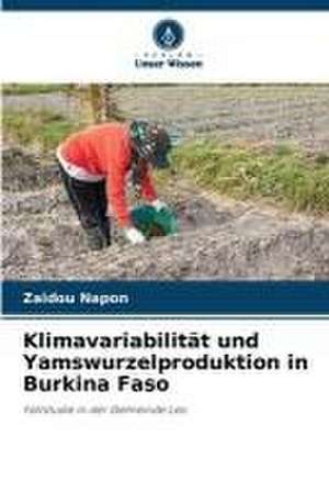 Klimavariabilität und Yamswurzelproduktion in Burkina Faso de Zaïdou Napon