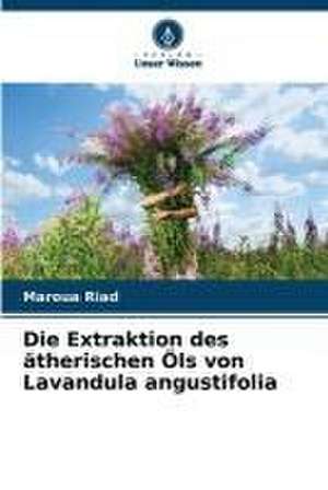 Die Extraktion des ätherischen Öls von Lavandula angustifolia de Maroua Riad