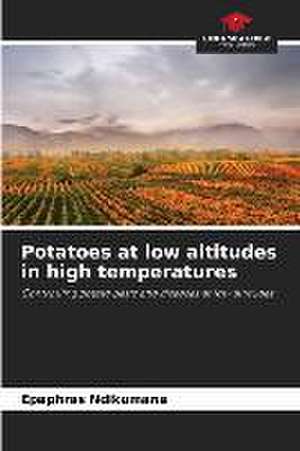 Potatoes at low altitudes in high temperatures de Epaphras Ndikumana